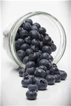 - Vaccinium corymbosum  - Vaccinium corymbosum