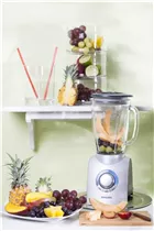 Citrus latifolia - Caipi-Limette Citrus latifolia - Caipi-Limette