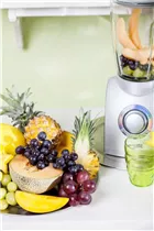 Cucumis melo var. cantalupensis - Cantaloupe-Melone