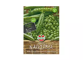 Samen Sperli - Markerbse Ambassador