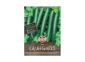 Samen Sperli - Salatgurken Bella Samen Sperli - Salatgurken Bella