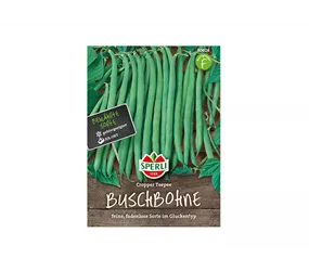 Samen Sperli - Buschbohnen Cropper Teepee