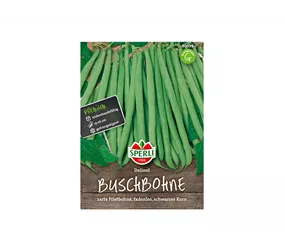 Samen Sperli - Buschbohnen Delinel