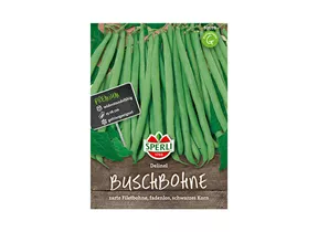 Samen Sperli - Buschbohnen Delinel Samen Sperli - Buschbohnen Delinel