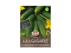 Samen Sperli - Einlegegurken Excelsior Samen Sperli - Einlegegurken Excelsior