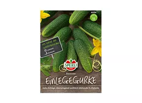 Samen Sperli - Einlegegurken Excelsior Samen Sperli - Einlegegurken Excelsior