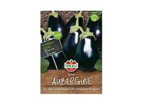 Samen Sperli - Aubergine Galine