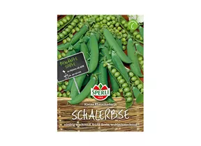 Samen Sperli - Schalerbsen Kleine Reihnländerin