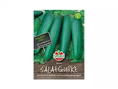 Samen Sperli - Salatgurken Konsa Samen Sperli - Salatgurken Konsa