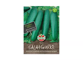 Samen Sperli - Salatgurken Konsa Samen Sperli - Salatgurken Konsa