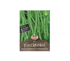 Samen Sperli - Buschbohnen Maxi Langhülsig