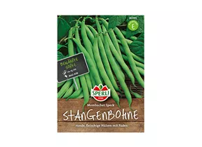Samen Sperli - Stangenbohnen Mombacher Speck Samen Sperli - Stangenbohnen Mombacher Speck