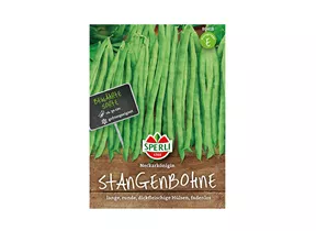 Samen Sperli - Stangenbohnen Neckarkönigin