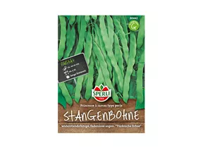 Samen Sperli - Stangenbohnen Princesse A Rames Type Perle Samen Sperli - Stangenbohnen Princesse A Rames Type Perle