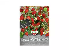 Samen Sperli - Monatserdbeeren SPERLI's Bowlenzauber  Samen Sperli - Monatserdbeeren SPERLI's Bowlenzauber