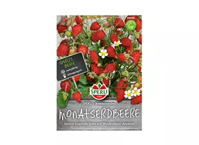 Samen Sperli - Monatserdbeeren SPERLI's Bowlenzauber  Samen Sperli - Monatserdbeeren SPERLI's Bowlenzauber