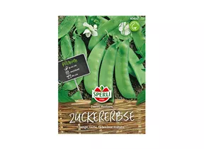 Samen Sperli - Zuckererbse Sweet Horizon Samen Sperli - Zuckererbse Sweet Horizon