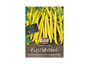 Samen Sperli - Buschbohnen Wachs Beste von Allen