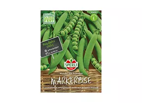 Samen Sperli - Markerbse Wunder von Kelvedon