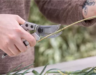 Amboss oder Bypass? Die richtige Gartenschere auswählen