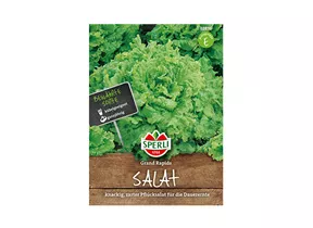 Samen Sperli - Pflücksalat Grand Rapids