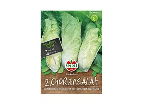 Samen Sperli - Zichoriensalat Zuckerhut