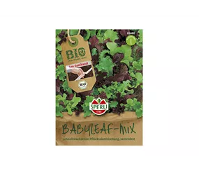 Samen Sperli - Bio Salat Babyleaf Mischung Saatband