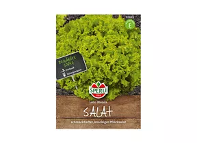 Samen Sperli - Pflücksalat Lollo