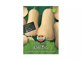 Samen Sperli - Kürbis Early Butternut / Avalon