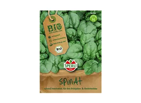 Samen Sperli - BIO Spinat Corvette