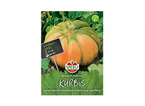 Samen Sperli - Kürbis Muscat de Provence