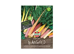 Samen Sperli - Mangold Bright Lights