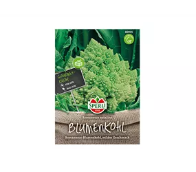Samen Sperli - Blumenkohl Romanesco natalino