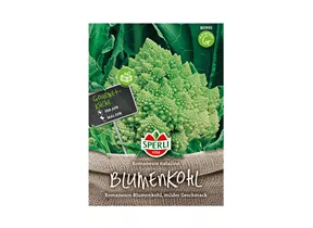 Samen Sperli - Blumenkohl Romanesco natalino