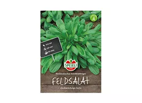 Samen Sperli - Feldsalat holländisch breitblättrig starkwüchsig