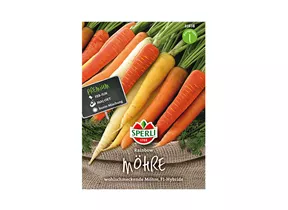 Samen Sperli - Möhren Rainbow