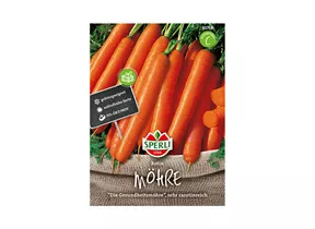Samen Sperli - Möhren Rotin