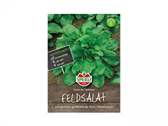 Samen Sperli - Feldsalat Verte De Cambrai Samen Sperli - Feldsalat Verte De Cambrai