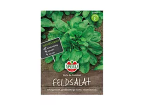 Samen Sperli - Feldsalat Verte De Cambrai