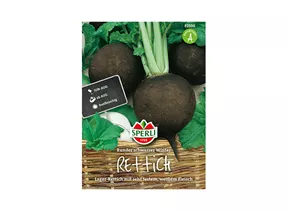 Samen Sperli - Rettich runder schwarzer Winter
