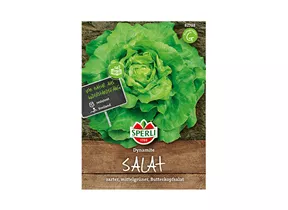 Samen Sperli - Salat Dynamite