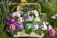 - Bunte Deko für Ostern – Darüber freut sich der Osterhase  - Bunte Deko für Ostern – Darüber freut sich der Osterhase