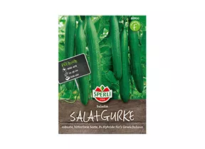 Samen Sperli - Salatgurken Saladin