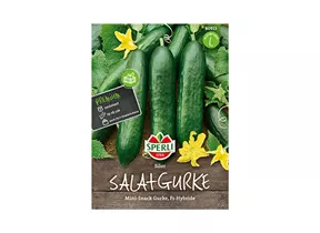 Samen Sperli - Salatgurken Silor