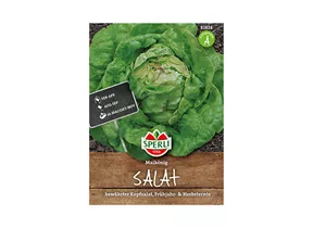 Samen Sperli - Kopfsalat Maikönig Samen Sperli - Kopfsalat Maikönig