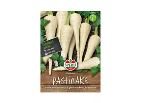 Samen Sperli - Pastinaken Gladiator