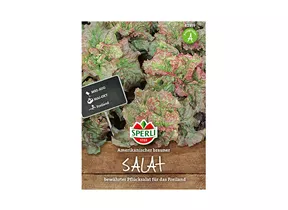 Samen Sperli - Pflücksalat Amerikanischer braun