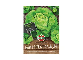 Samen Sperli - Winter-Butterkopfsalat Samen Sperli - Winter-Butterkopfsalat