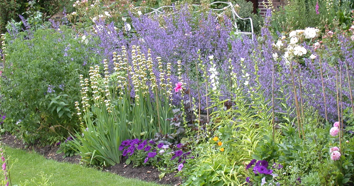  - Das Blumenbeet – Die schönsten Beetpflanzen für den Garten