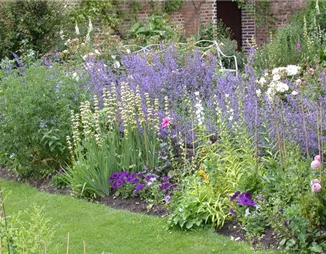 Das Blumenbeet – Die schönsten Beetpflanzen für den Garten